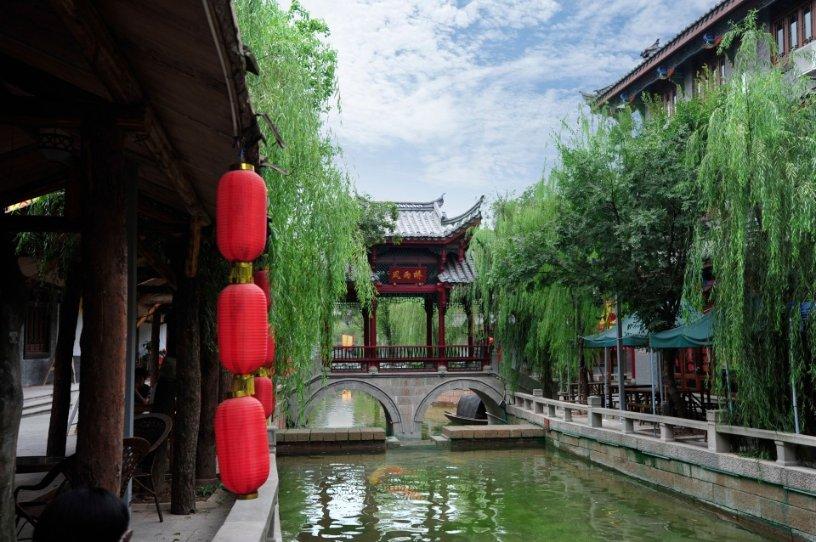 寻找萌小老虎